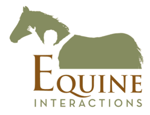 Equine Interactions