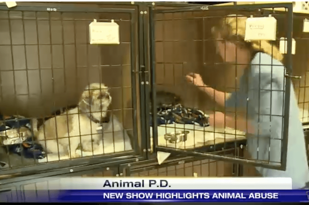 Animal PD Features Local Animal Refuge and Walton County Sheriff’s Office