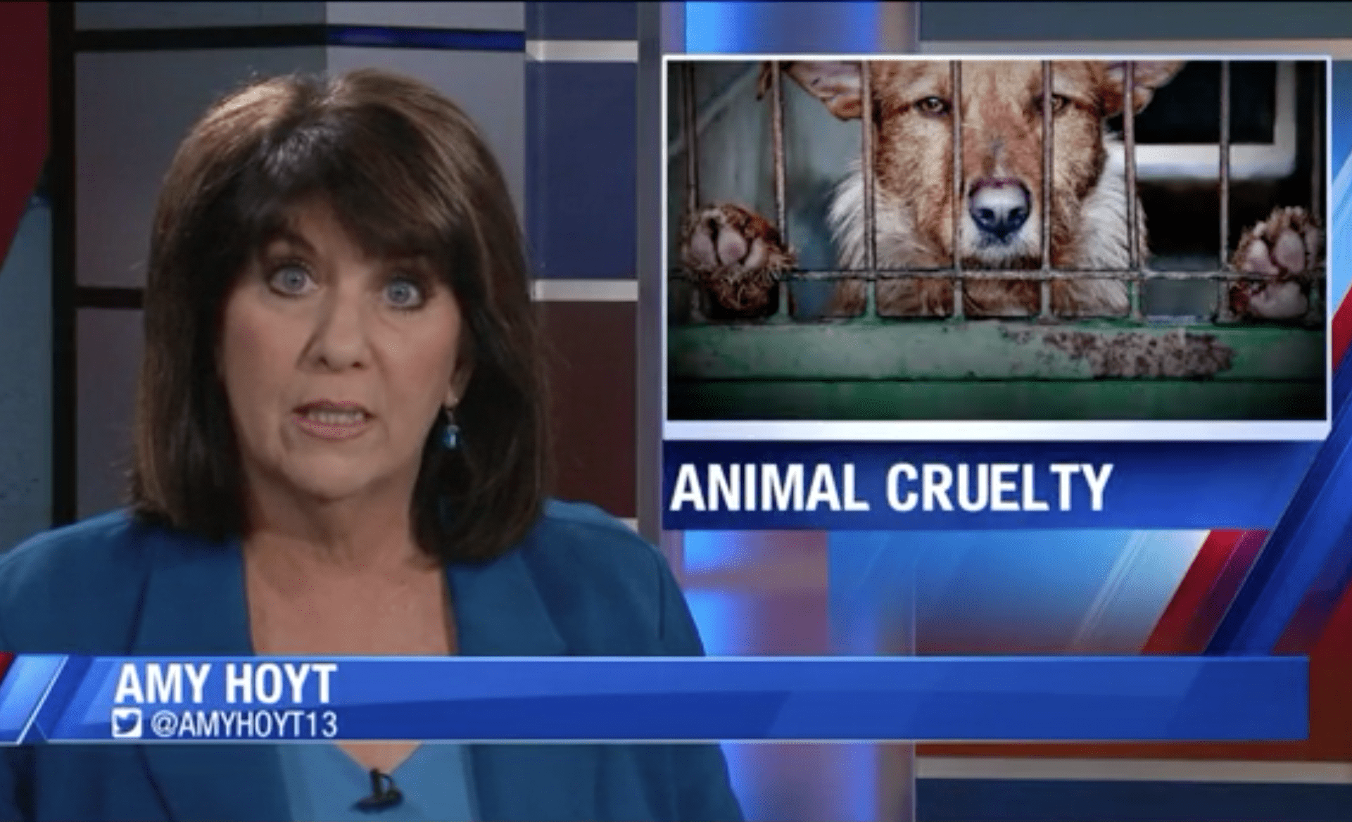 Amy Hoyt reports on Animal Cruelty