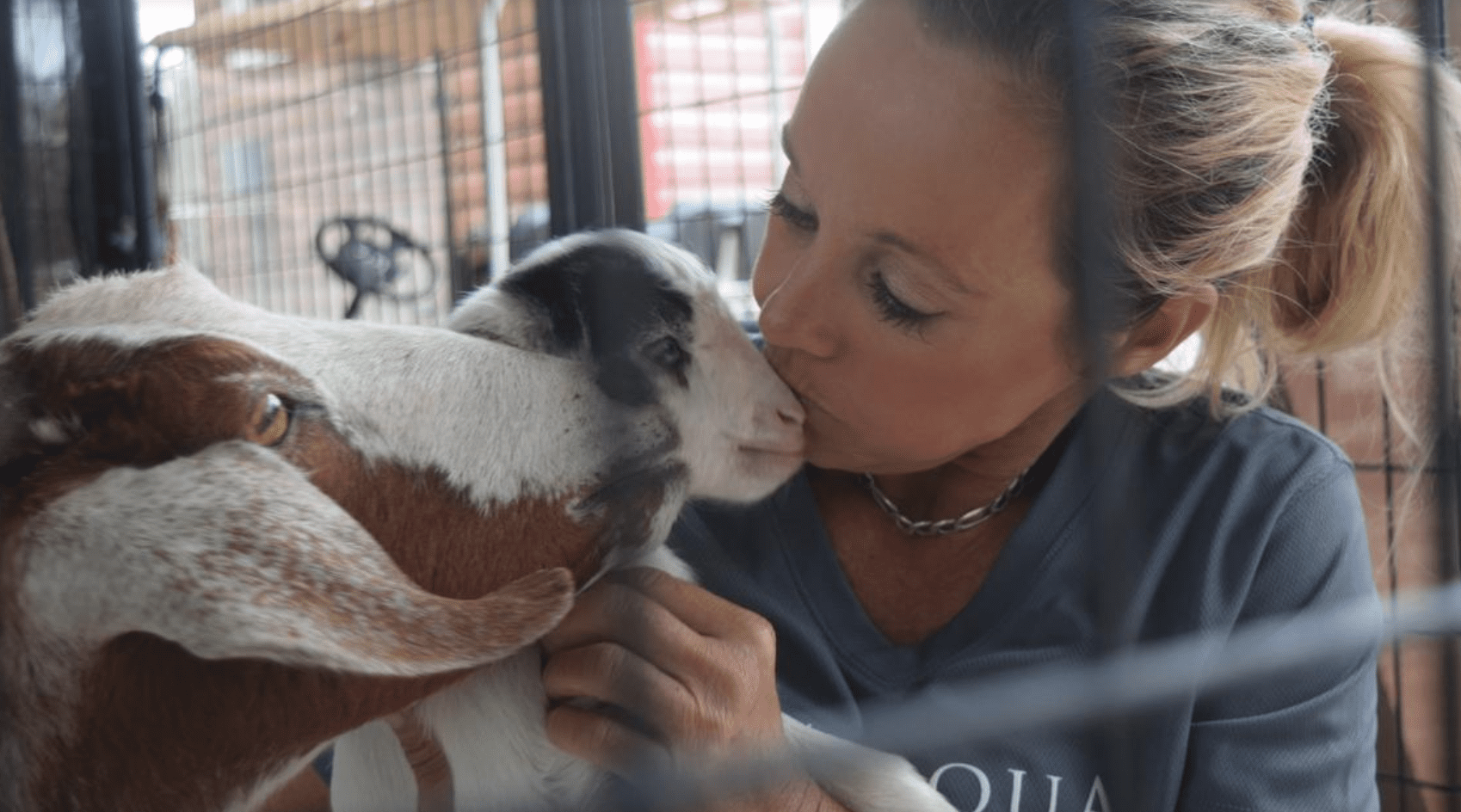 Kissing a baby goat
