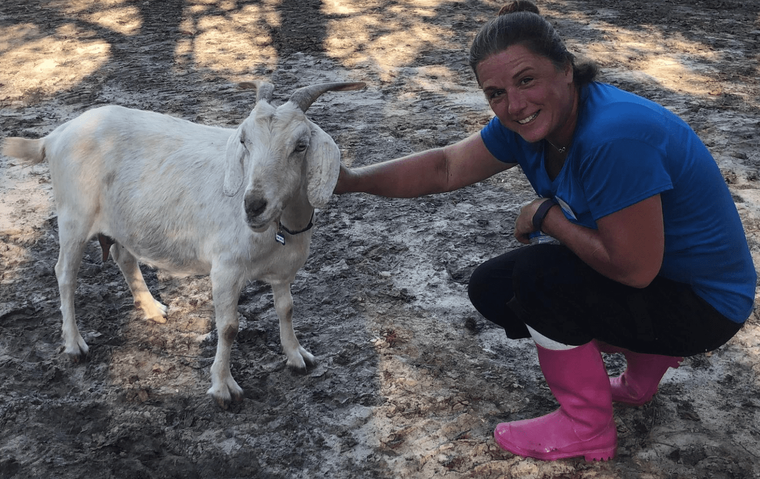 Petting baby goat