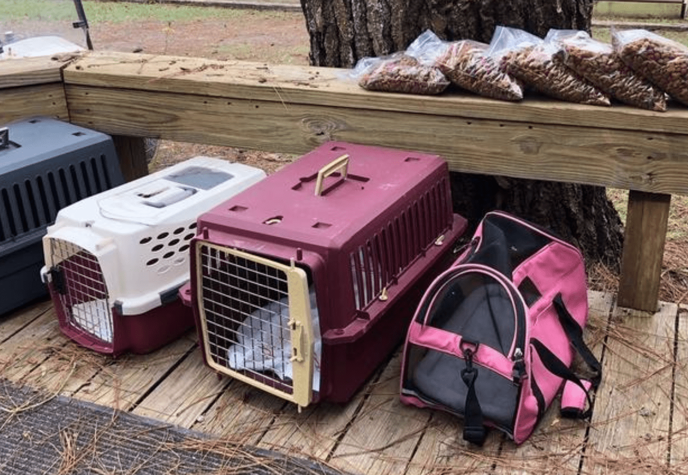Animal shelters prepare for hurricane