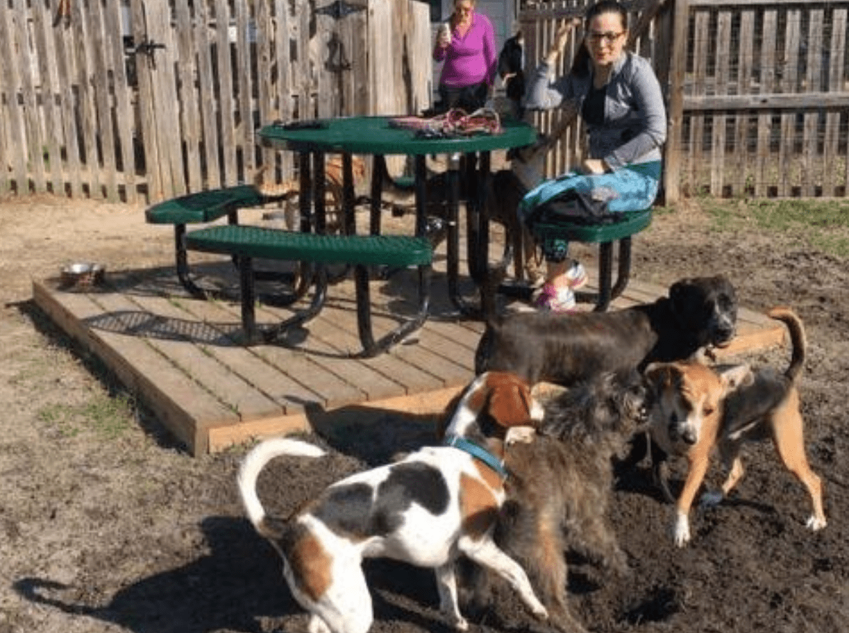 Alaqua Dog Park Looking to Expand