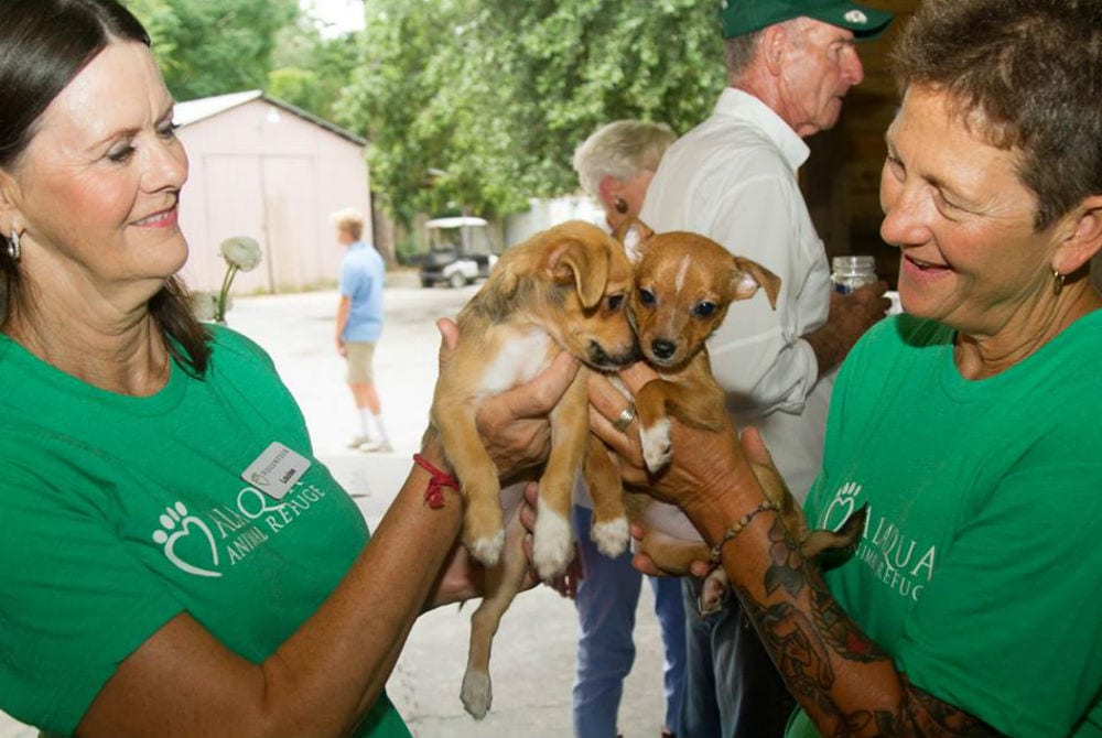 Alaqua Volunteers holding puppies