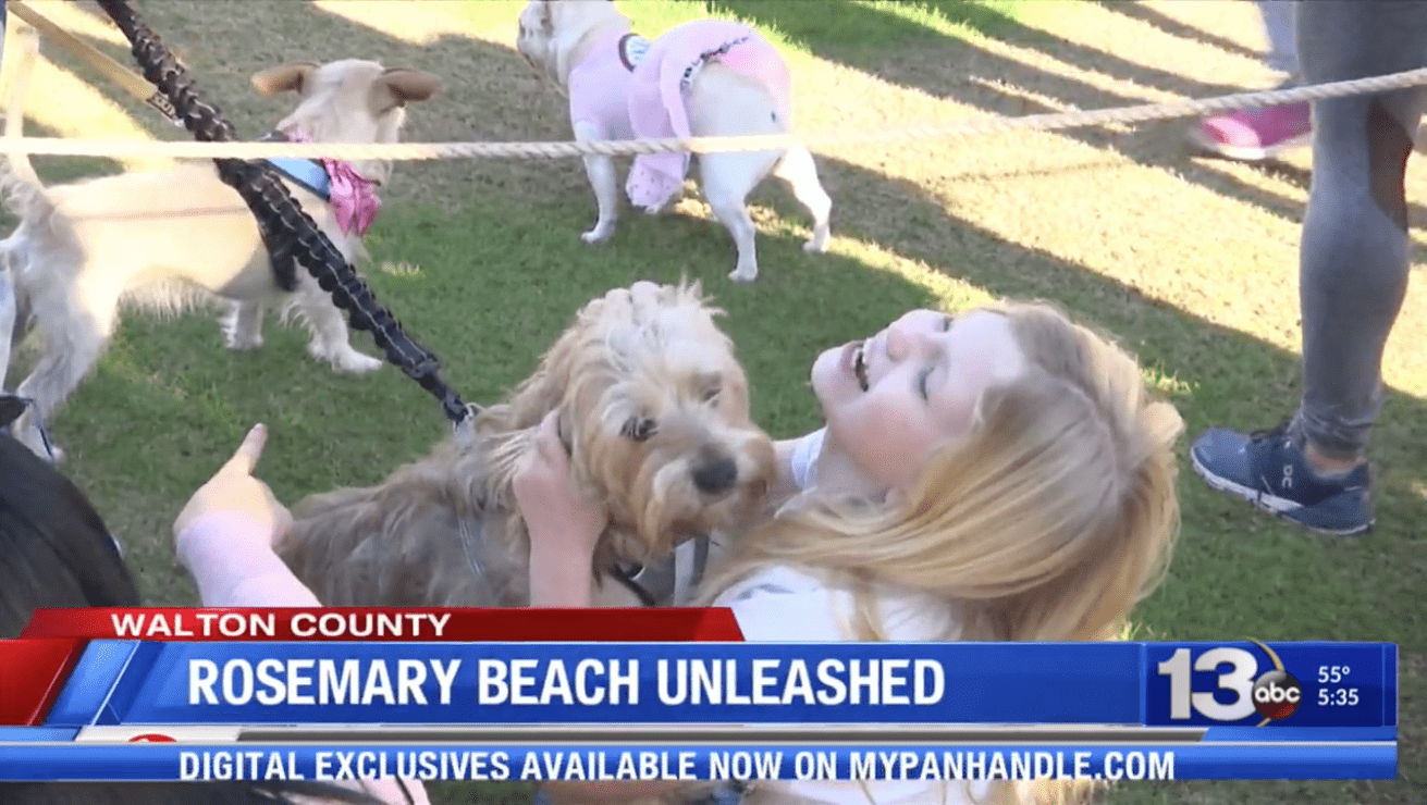 Unleashed Festival in Rosemary Beach Raises Money for Alaqua Animal Refuge