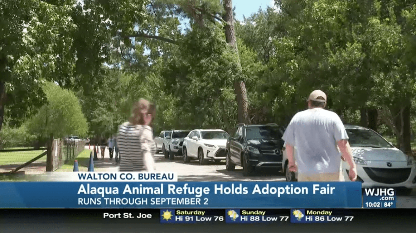 Alaqua Animal Refuge Holds Adoption Fair