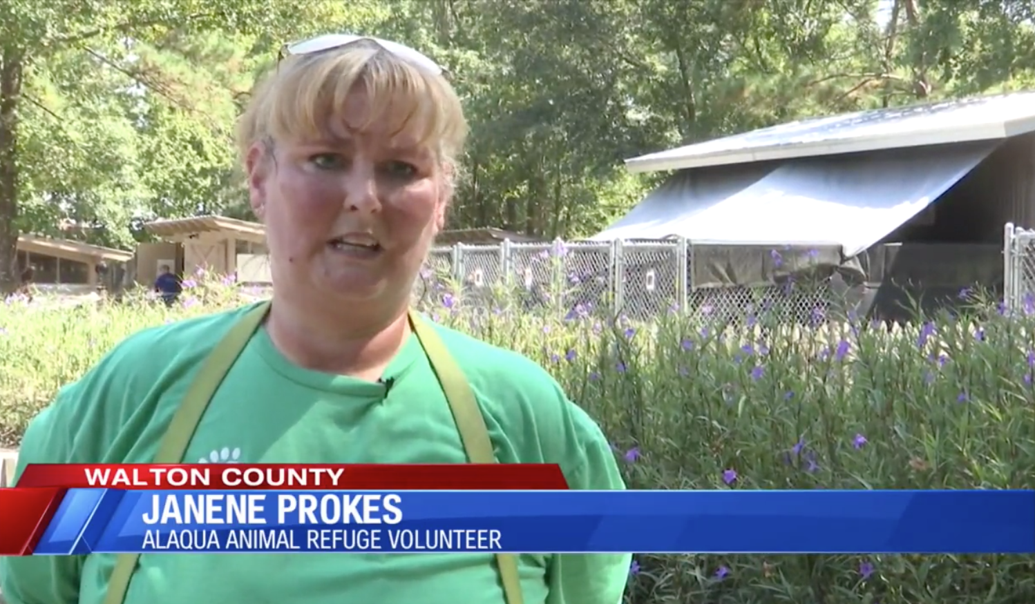 Alaqua Animal Refuge Looking for Homes for Dogs Involved in Holmes County Hoarding Case