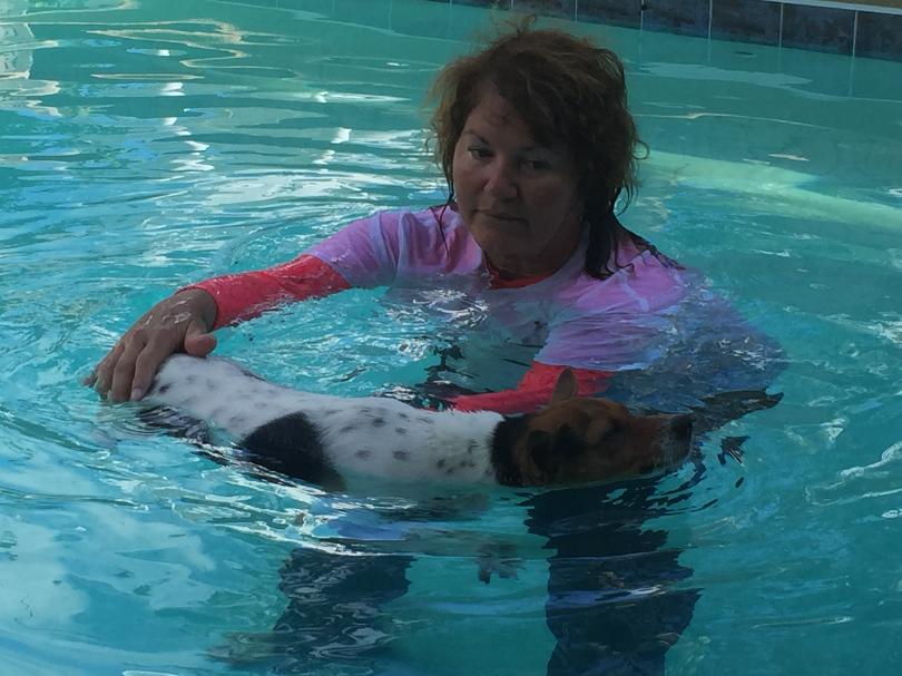 Swim Dog 30A and Alaqua Help Dogs Through Swim Therapy