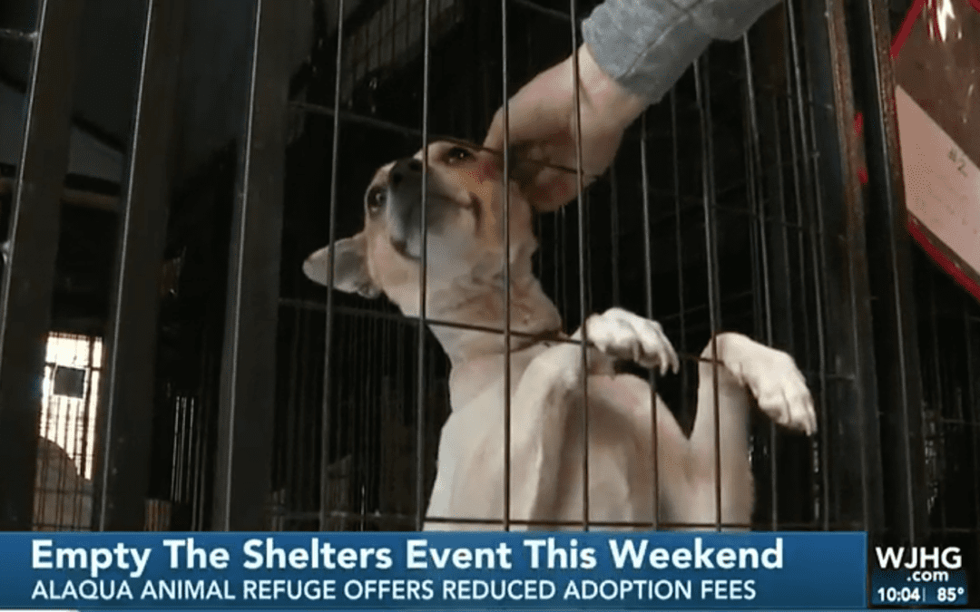 Alaqua Animal Refuge Holds “Empty the Shelters” Event