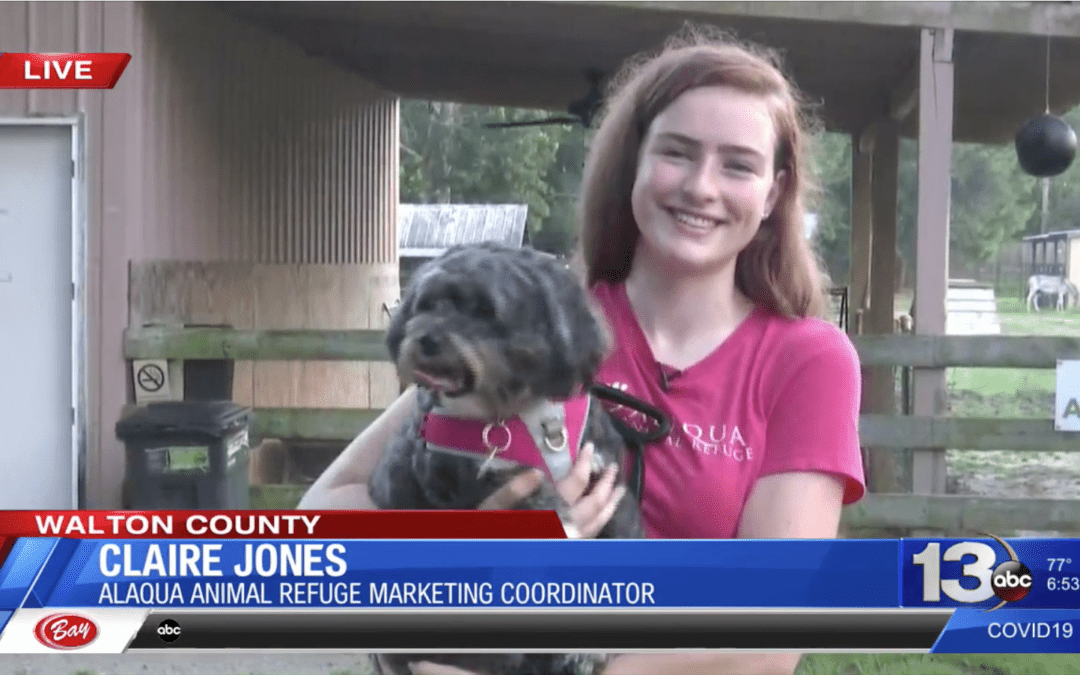 Alaqua Animal Refuge Highlights Current Services on National Mutt Day