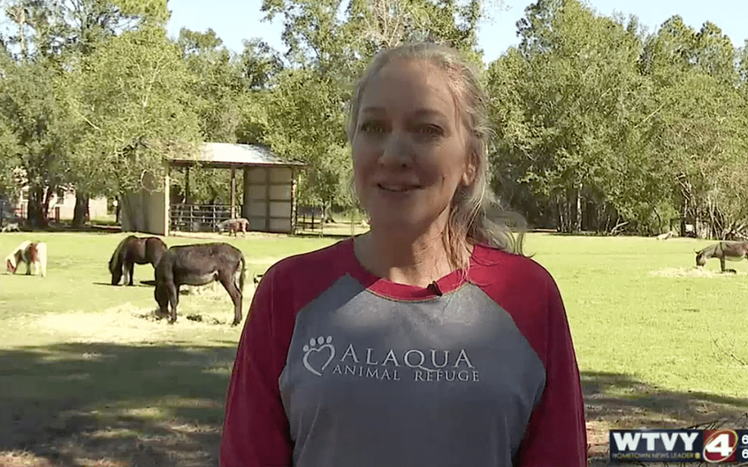 Alaqua Animal Refuge Reopening Doors to the Public