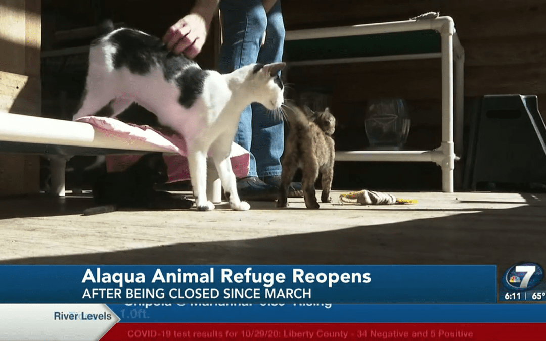 Alaqua Animal Refuge Reopens to the Public