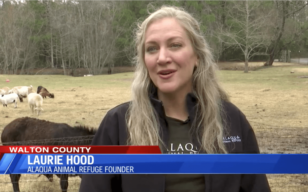Alaqua Welcomes Visitors from ‘To The Rescue’