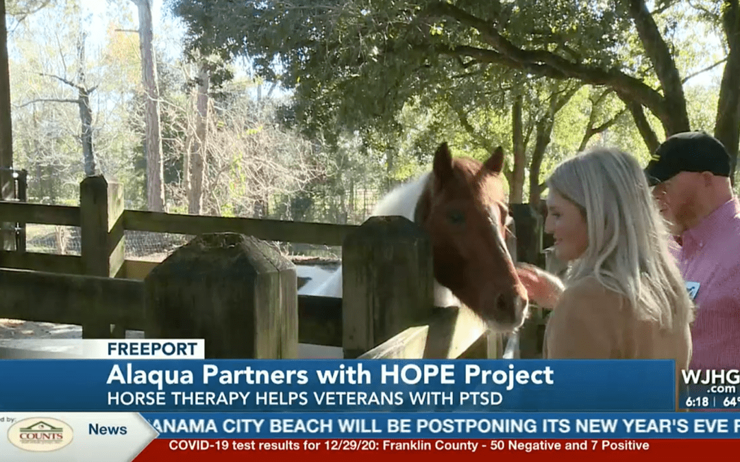 HOPE Project and Alaqua Animal Refuge Form a Partnership through Equine Therapy