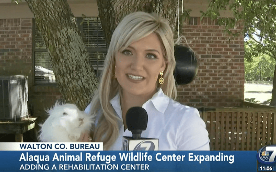 Alaqua Animal Wildlife Refuge Expanding
