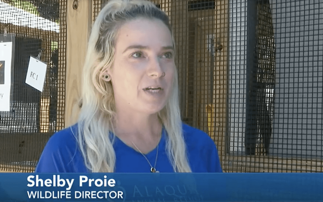 Alaqua Animal Wildlife Refuge Expanding