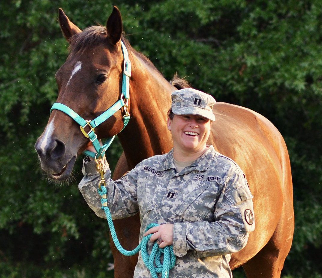 Equine Interactions