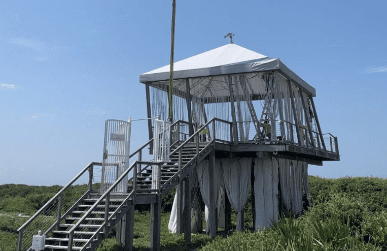Alaqua Animal Refuge Receives Special Donations from Alys Beach