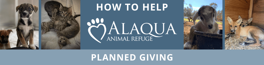 Alaqua Website Header_Planned Giving