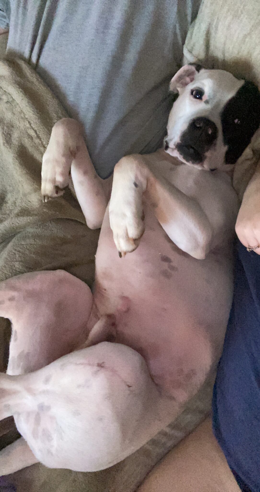 Petey