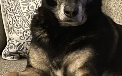 Bella
