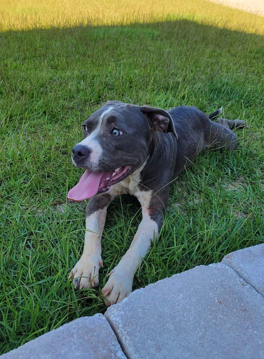 Sadie-Pic-2