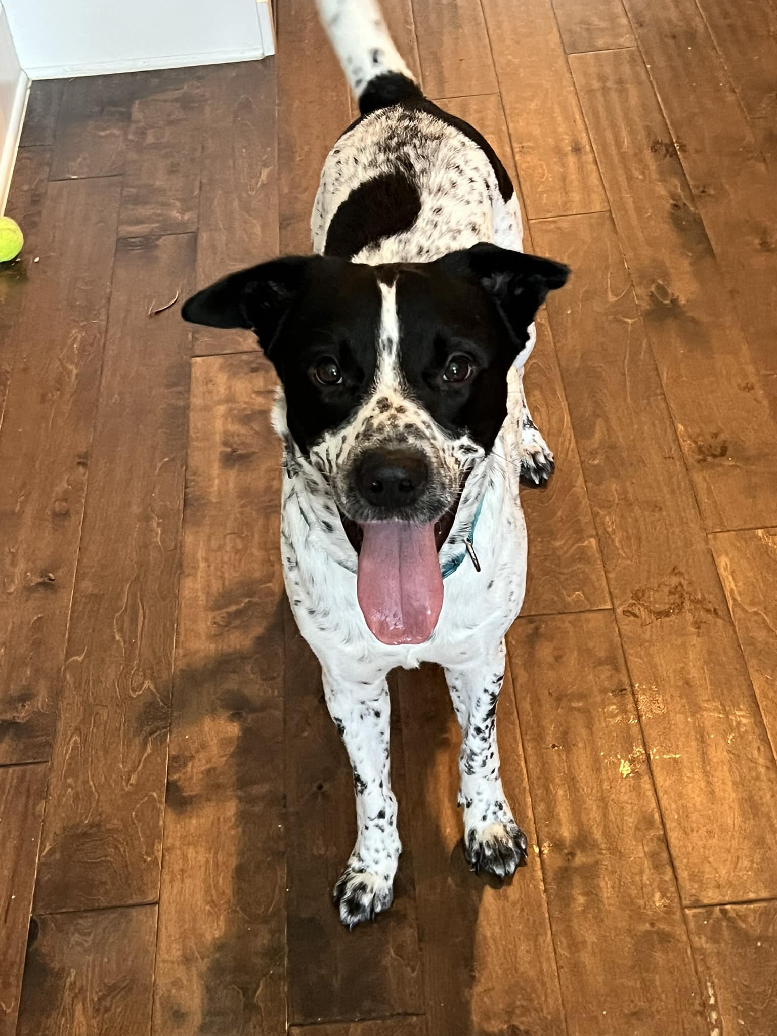 Walter
